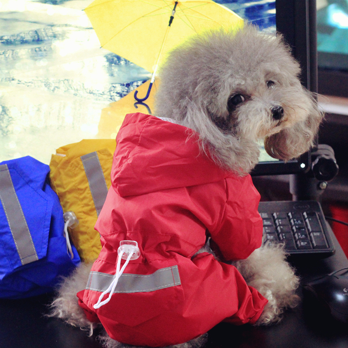 狗狗雨衣四腳防水寵物雨衣泰迪雨衣小型犬小狗 有牽引環